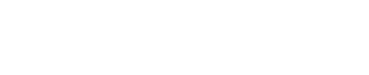 transkribus_logo_long_negative